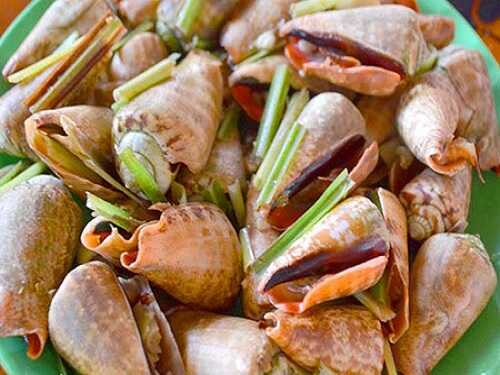 Thịt thơm ngon và hàm lượng dinh dưỡng cao nên được đánh giá là vua của các loài ốc