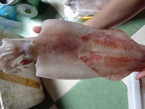 mực một nắng quy nhơn