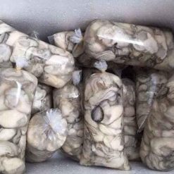 hàu sữa tách vỏ - ruột hàu