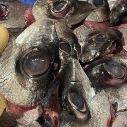 mắt cá ngừ đại dương quy nhơn