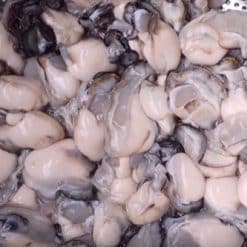Ruột hàu sữa tách vỏ tươi Quy Nhơn của Xứ Nẫu